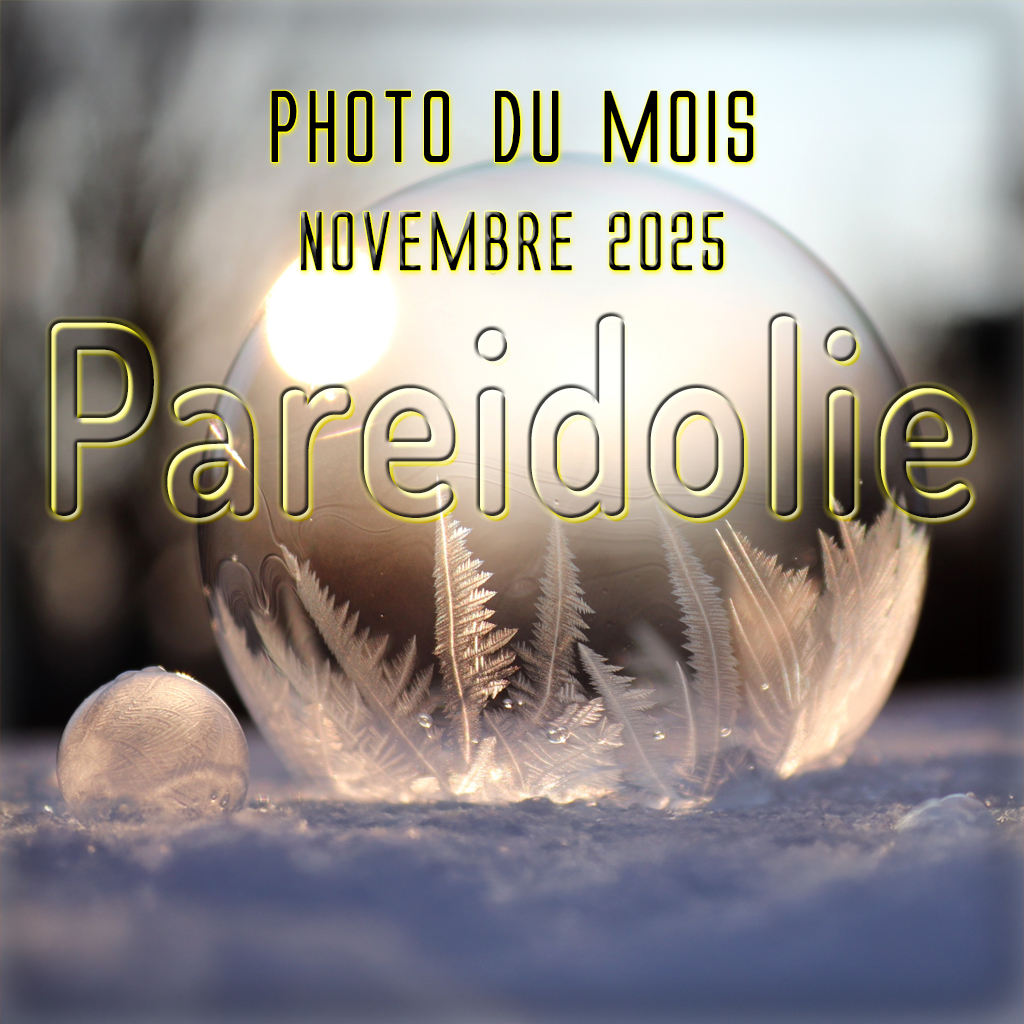 Diaporama des photos du mois