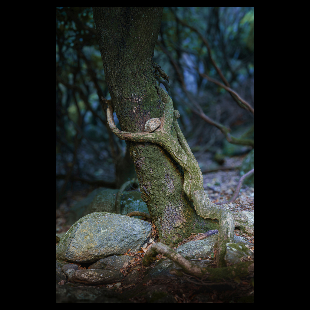 Diaporama des photos du mois