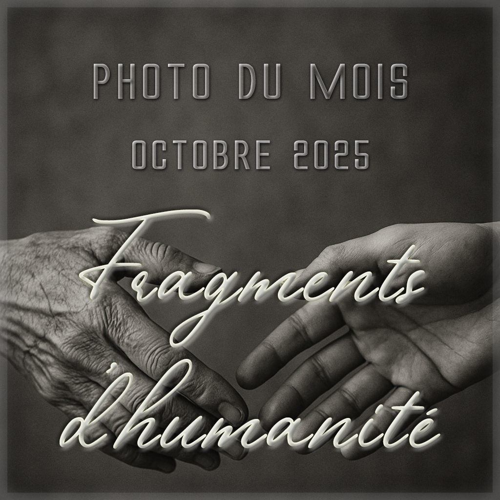 Diaporama des photos du mois