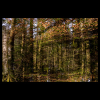 Catherine POIR&Eacute;