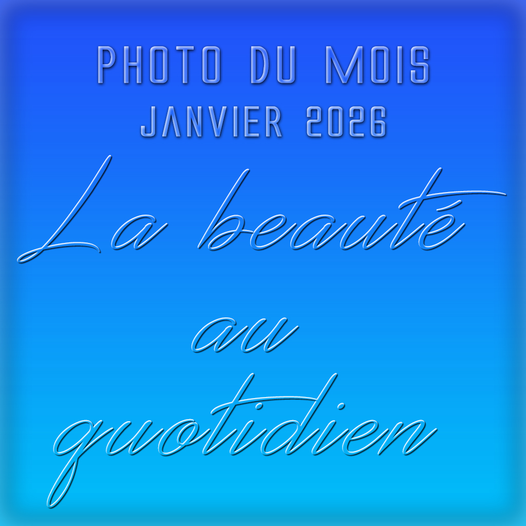 Diaporama des photos du mois