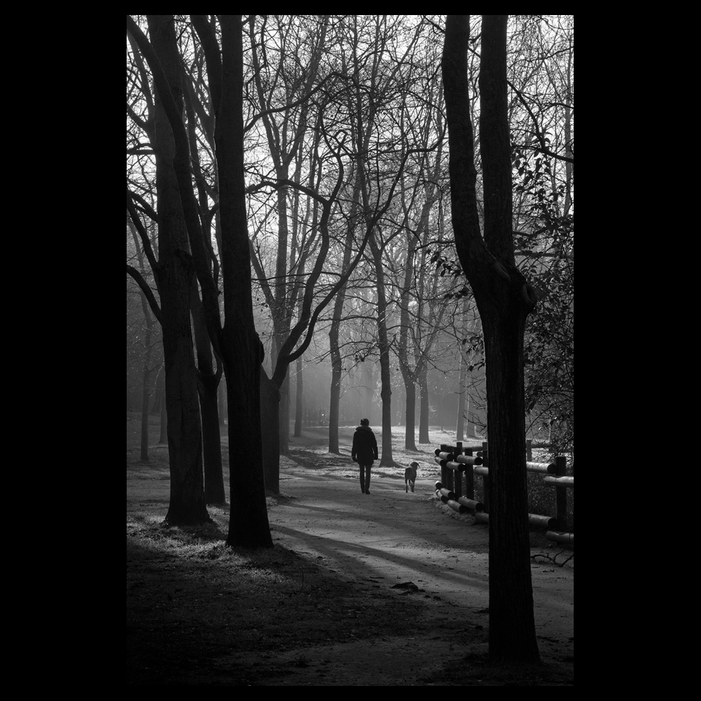 Diaporama des photos du mois