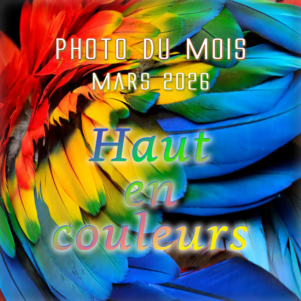 Diaporama des photos du mois