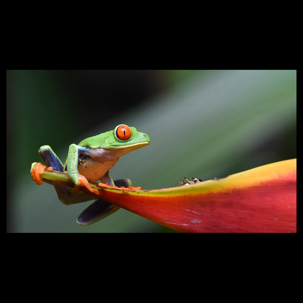 Diaporama des photos du mois